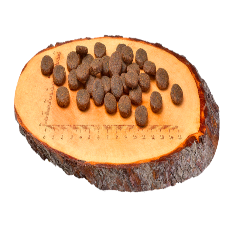 Croquettes Carnilove nutrition premium - alimentation saine et équilibrée pour chiens et chats actifs