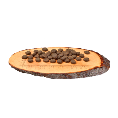 Croquettes Carnilove pour chien adulte au renne – Recette sans céréales, riche en protéines pour un pelage sain et une bonne digestion.