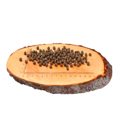 Croquettes Carnilove saumon et dinde pour chatons - alimentation premium équilibrée et naturelle pour une croissance saine