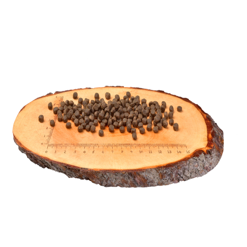 Croquettes Carnilove saumon et dinde pour chatons - alimentation premium équilibrée et naturelle pour une croissance saine