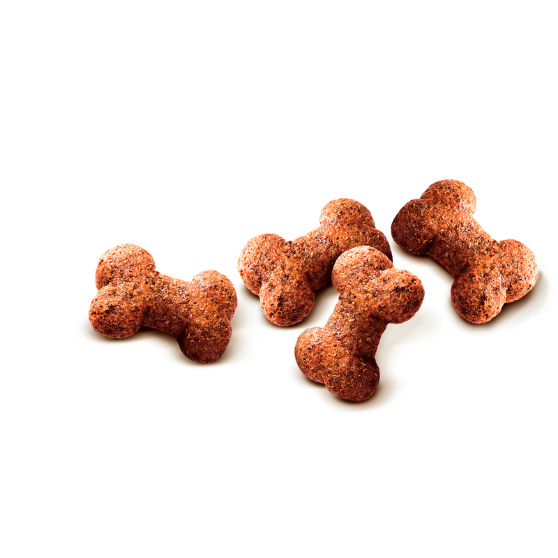 croquettes chien