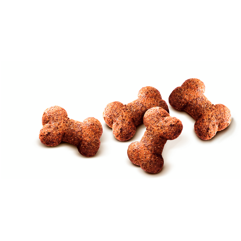 friandise chien sans cereales